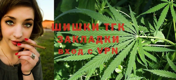 СК Алзамай