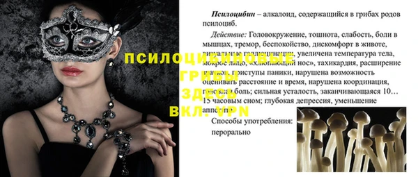 трава Алексин