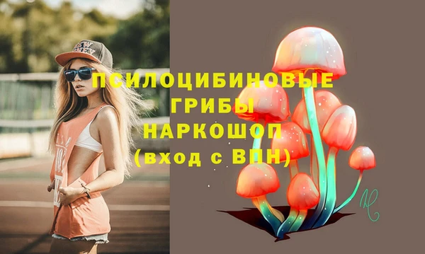 СК Алзамай