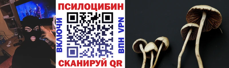 Галлюциногенные грибы GOLDEN TEACHER Злынка